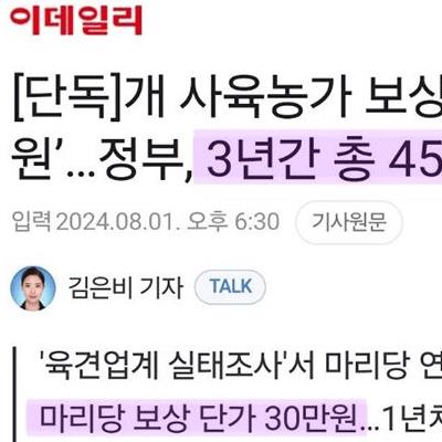 개만도 못한 궁민 ㅋㅋㅋ