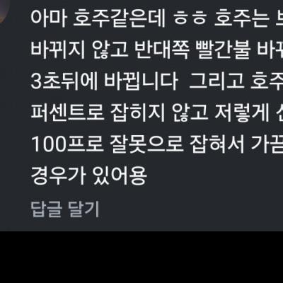 위반한 차량이 100프로라는 호주