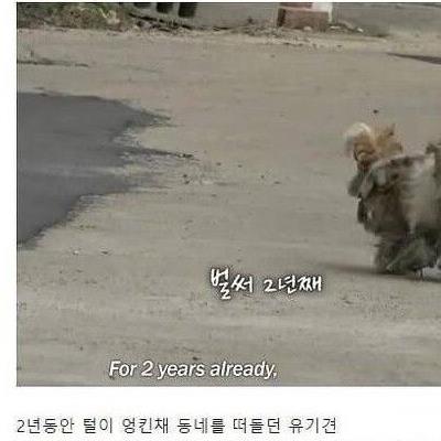 동물농장 역사상 가장 평화로웠던 구조