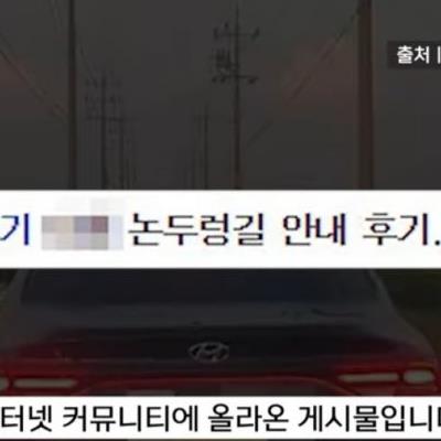 내비 따라갔다가 논두렁 감옥에 ㄷㄷㄷ