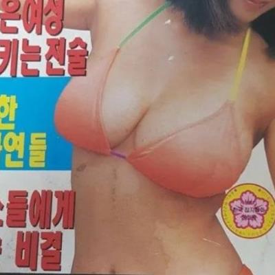 1995년 7월호 성인잡지 표지