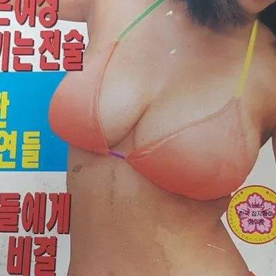 그 때 그 시절.. 95년도 성인잡지