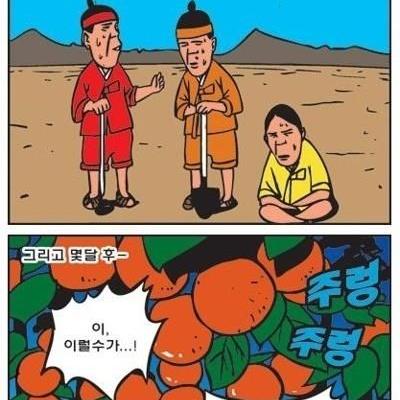 진정한 보물