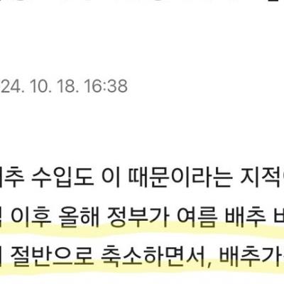 배추값 폭등의 원인은 기후문제가 아님