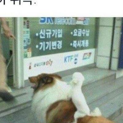 대형면허 따면 좋은점..