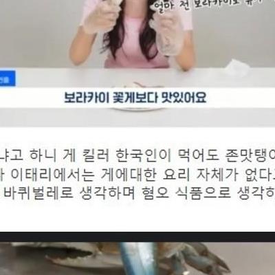 이탈리아 난리났던 꽃게 근황