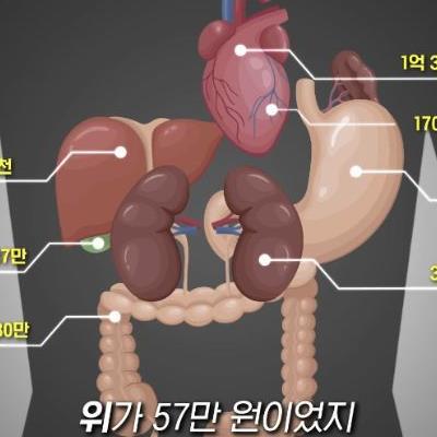 장기매매 시세.jpg