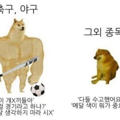 국가대표를 보는 한국인 특징