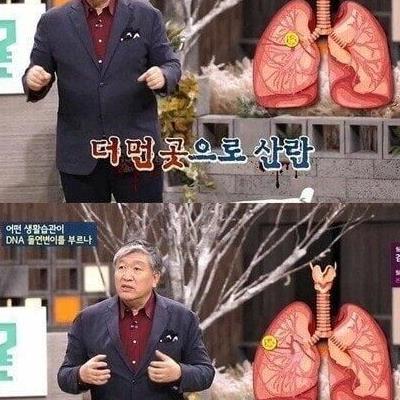 담배 필터의 몰랐던 효과.jpg.jpg