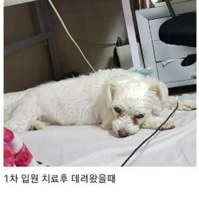 부모님 텃밭에서 시작된 인연