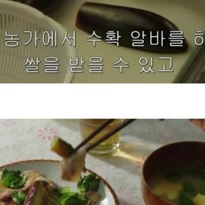 일본 30대 프리터족의 하루