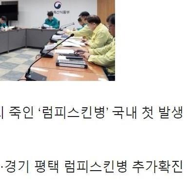 지금 난리 났습니다