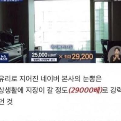 싱글벙글 네이버와 10년간 싸운 아파트